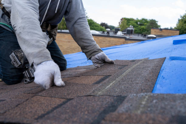 Best Gutter Installation and Roofing  in Wood River, IL