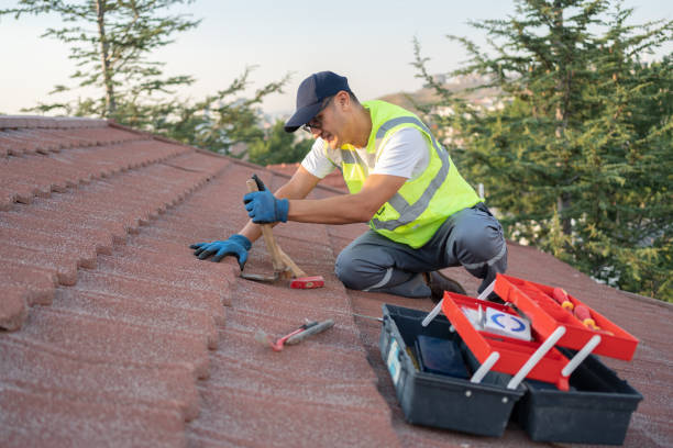 Best Roof Gutter Cleaning  in Wood River, IL